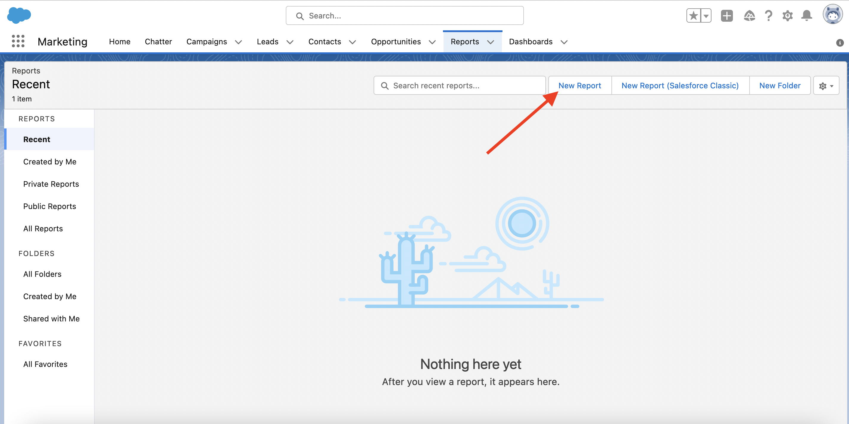 salesforce new report
