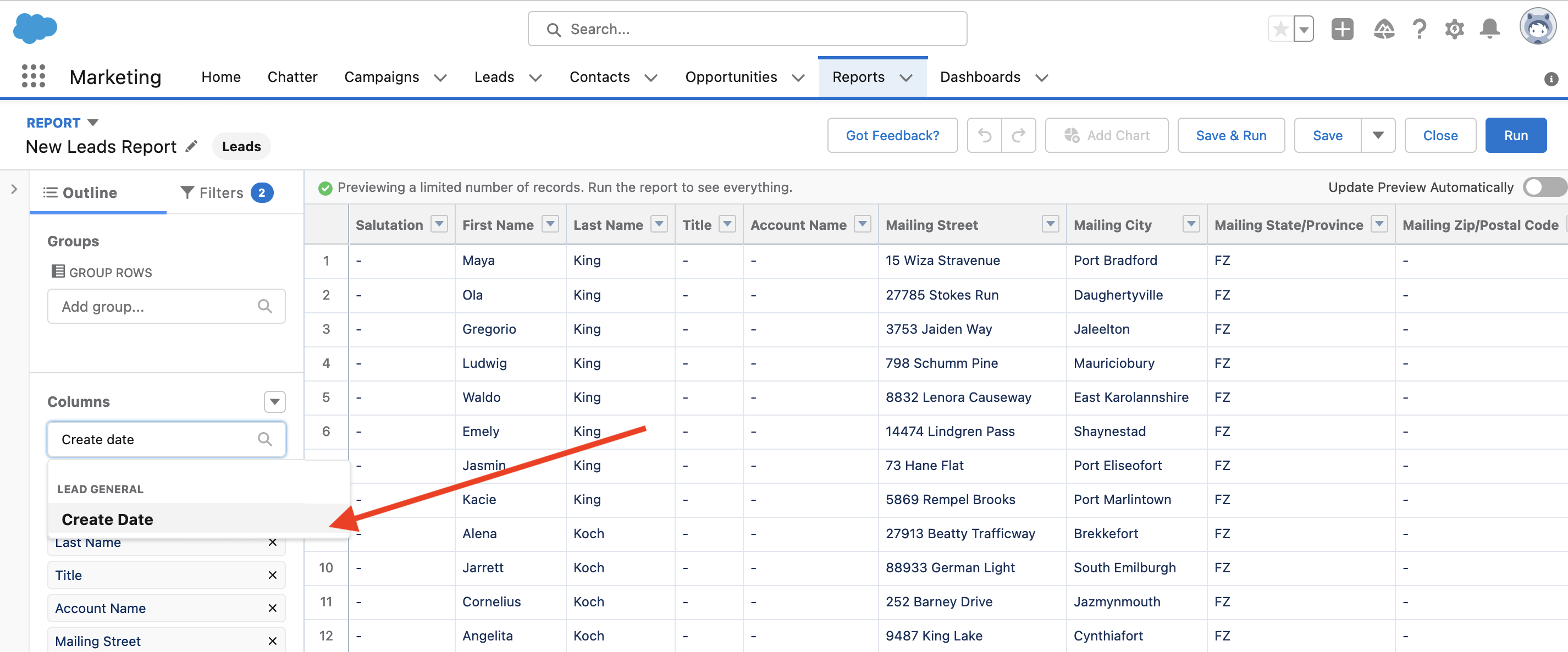salesforce report fields
